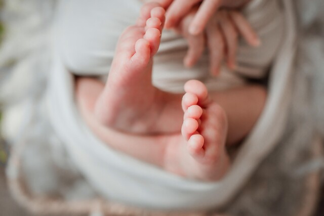 Bongbabyhousevn newborn 6399136 1920