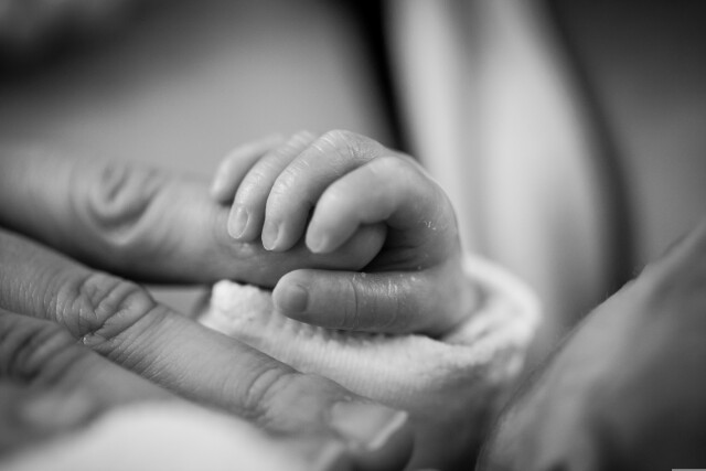 Sepph baby 1681181